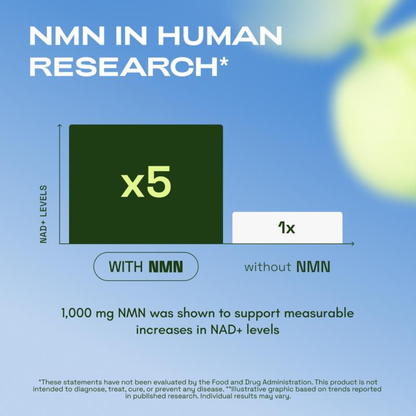 Endeva™ Pure NMN Powder